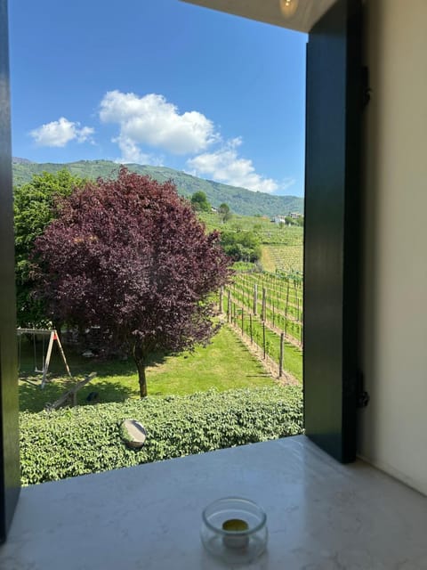 Natural landscape, Mountain view