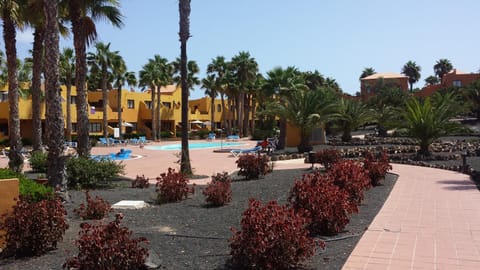 Garden, Pool view, Swimming pool