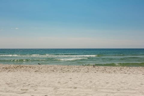 The Beach House House in West Beach
