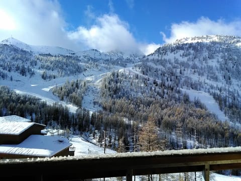 Les Terrasses d Azur Apartment in Isola
