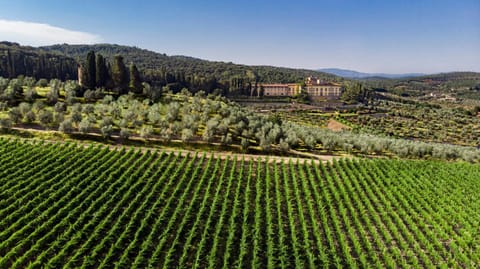Facade/entrance, Natural landscape, Bird's eye view