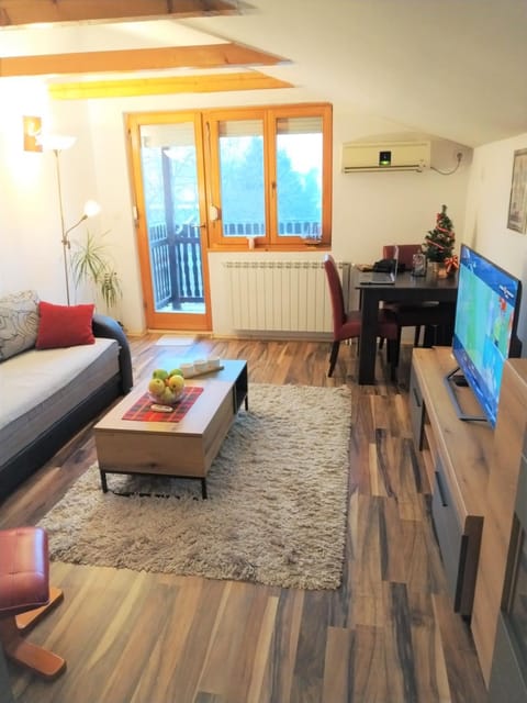 Apartment Viktor Apartment in Belgrade