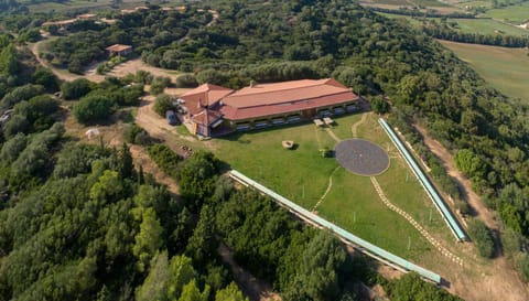 Restaurant/places to eat, Bird's eye view