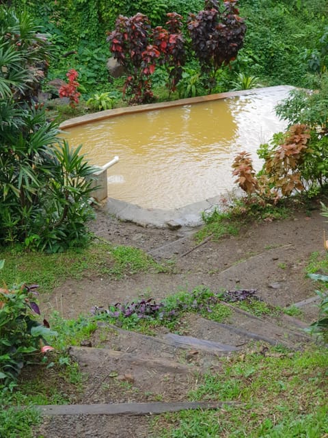 Hot Spring Bath, Swimming pool