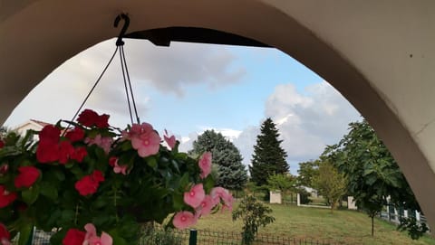 Property building, Garden view