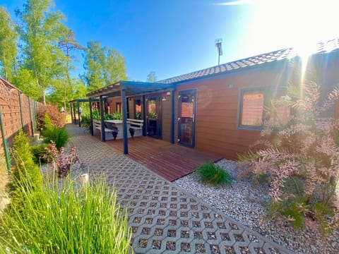 Property building, Spring, Day, Garden