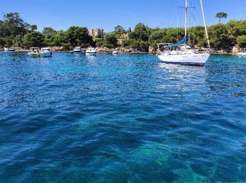 T3 A/C Côte d'Azur, Piscine, Plage à 350m, WIFI Apartment in Antibes