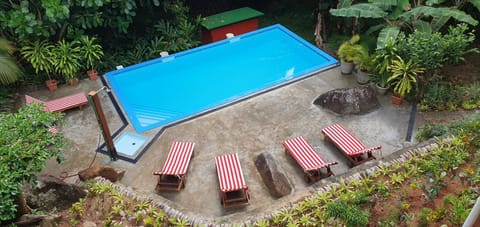 Pool view, Swimming pool, sunbed