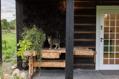 Chatka w trawach House in Krakow