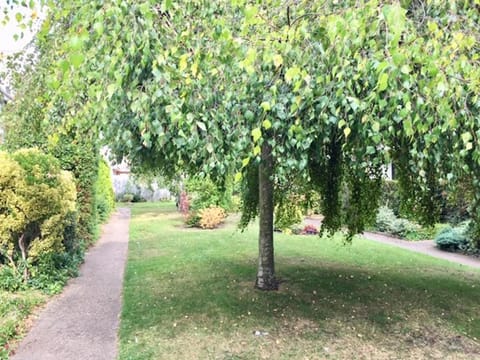 Natural landscape, Garden