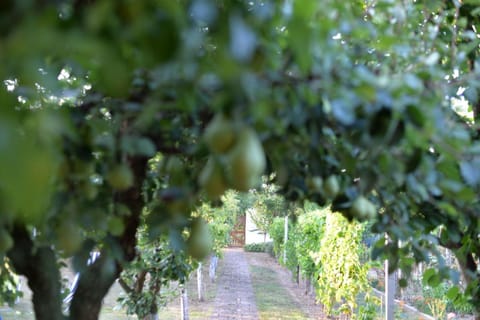 Kuća za odmor Mirni kutak Vukovar House in Vojvodina
