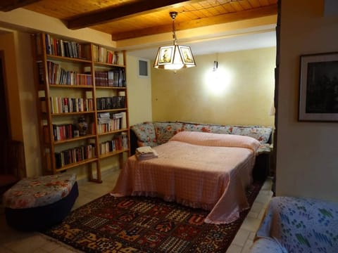 Bed, Library, Bedroom