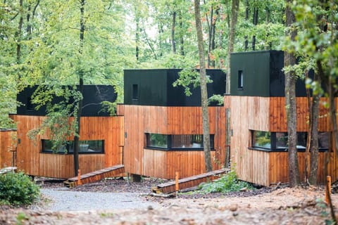 Forest Cube House in Wallonia, Belgium
