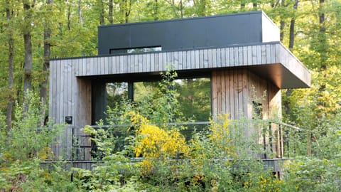 Forest Cube House in Wallonia, Belgium