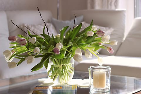 Carpe Diem House in Mecklenburg-Vorpommern, Germany