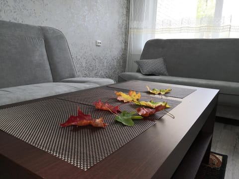 Apartamentai ,,ASTRA'' Apartment in Lithuania