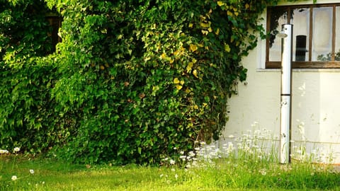 Holzchalet Campground/ 
RV Resort in Berchtesgadener Land