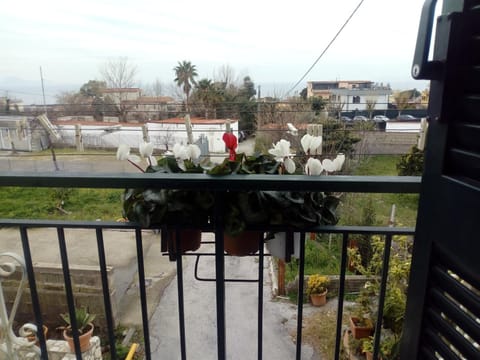 CASA VACANZE da Rosy Apartment in Ercolano