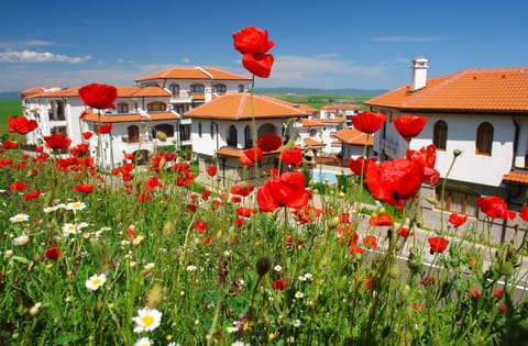Property building, Spring, Neighbourhood, Natural landscape