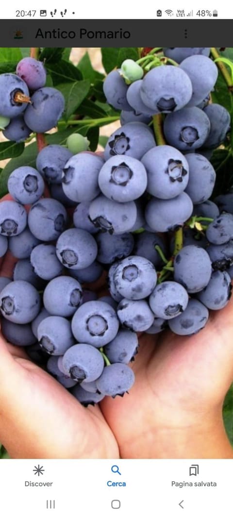 casa vacanza da ghislin Apartment in Province of Brescia