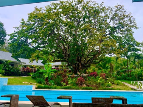 Restaurant/places to eat, Garden view, Pool view