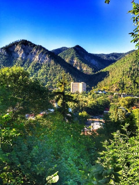 Mountain view