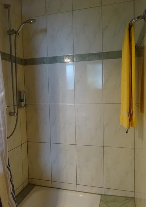 Shower, Toilet, Bathroom, TV and multimedia, towels
