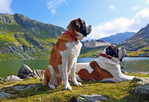 Off site, Activities