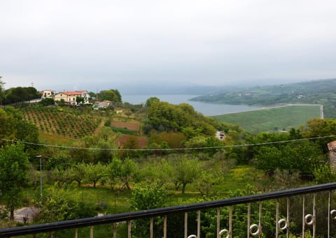 Lake view