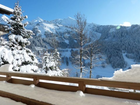 Appartement 3*, cosy, 8 pers, La Clusaz, WIFI - FR-1-304-237 Apartment in La Clusaz