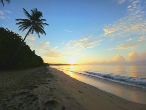 Natural landscape, Beach, Sea view, Sunrise
