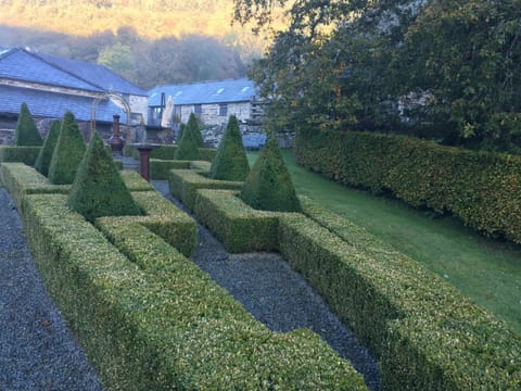 Plasglasgwm Nature lodge in Bro Machno