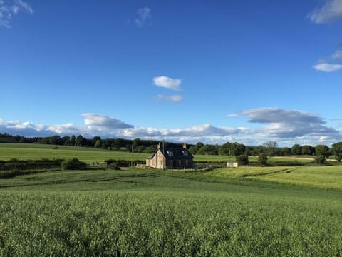 Natural landscape, Garden