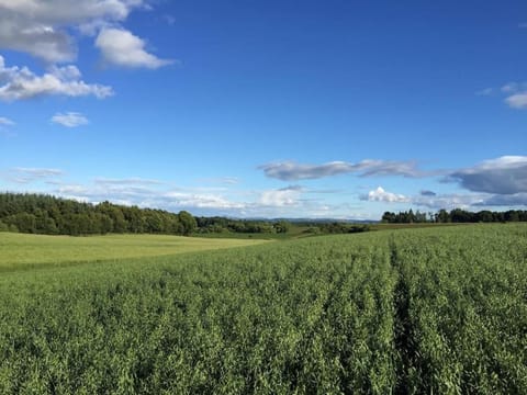 Blackhill Farm Cottage House in Scotland
