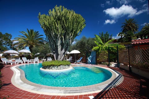 Day, Swimming pool, Swimming pool