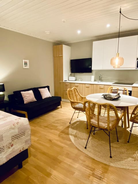 Upseeritalo Apartment in Finland