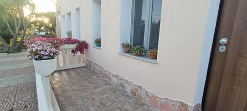 Property building, Day, Garden, Garden view