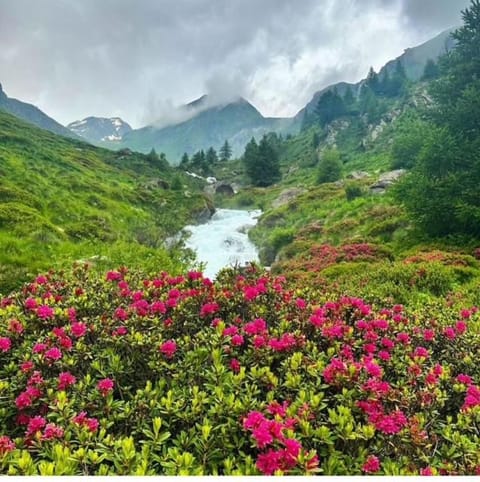 Nearby landmark, Natural landscape, Mountain view, River view
