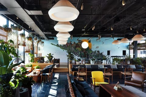 Restaurant/places to eat, Nightclub / DJ, Lounge or bar