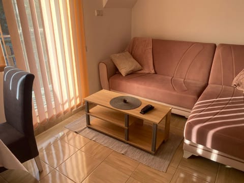 Apartman Rankovic Apartment in Zlatibor District, Serbia