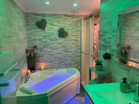 Preiz'age de...Bien-être...Balnéothérapie Apartment in Troyes