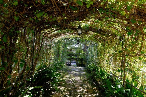 La Canonica - Villa Venturini Fendi Bed and Breakfast in Lazio