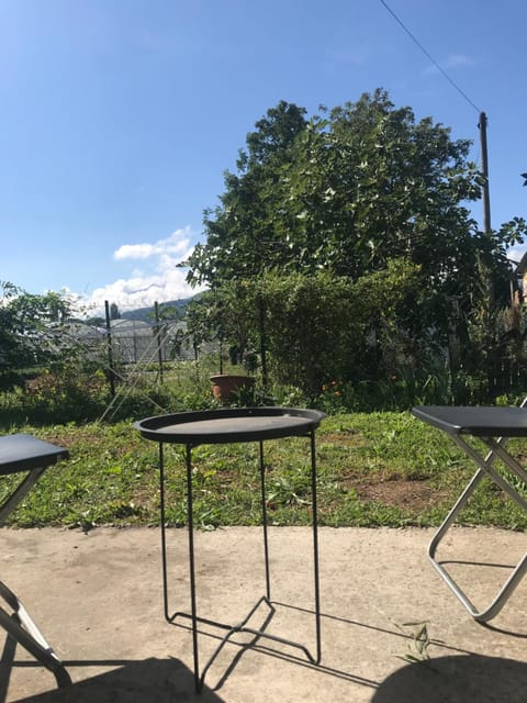 Patio, Garden