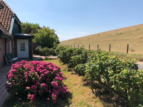 Deichhof von 1843 in Tossens direkt an der Nordsee für 12 Personen House in Butjadingen