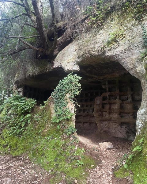 Notti Etrusche a Sovana Bed and Breakfast in Lazio