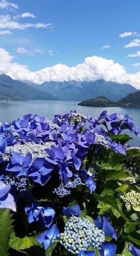 Natural landscape, Lake view