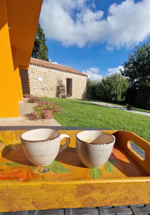 Property building, Patio, Garden view