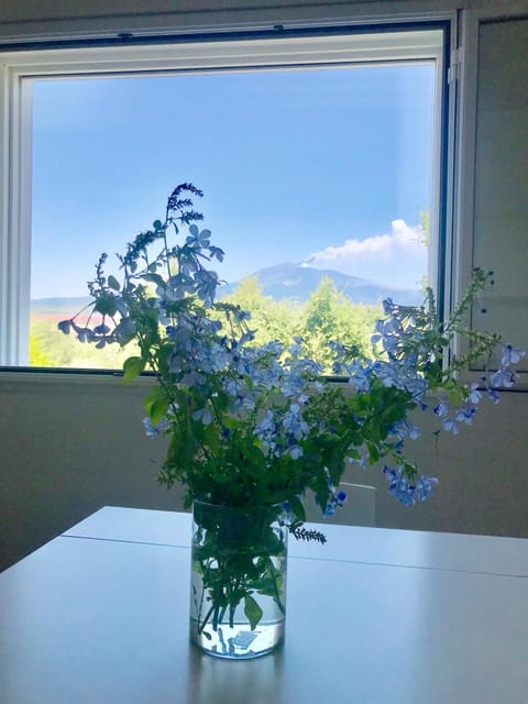 Day, Natural landscape, Mountain view