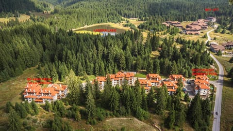 Property building, Neighbourhood, Natural landscape, Bird's eye view