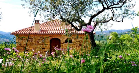 Facade/entrance, Garden